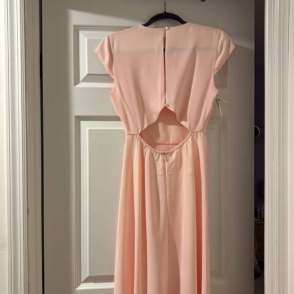 Babaton Hamptons dress soft blush pink - Picture 6 of 8